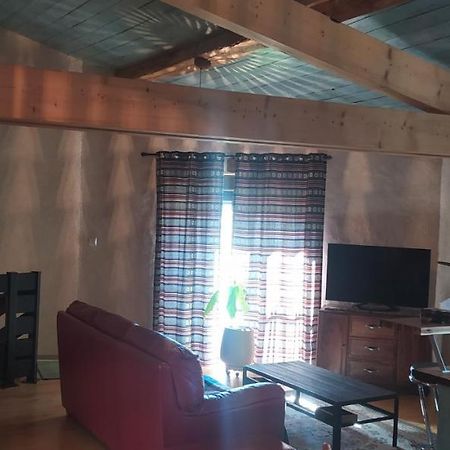L'Atelier Apartment Rouffiac-d'Aude Ngoại thất bức ảnh